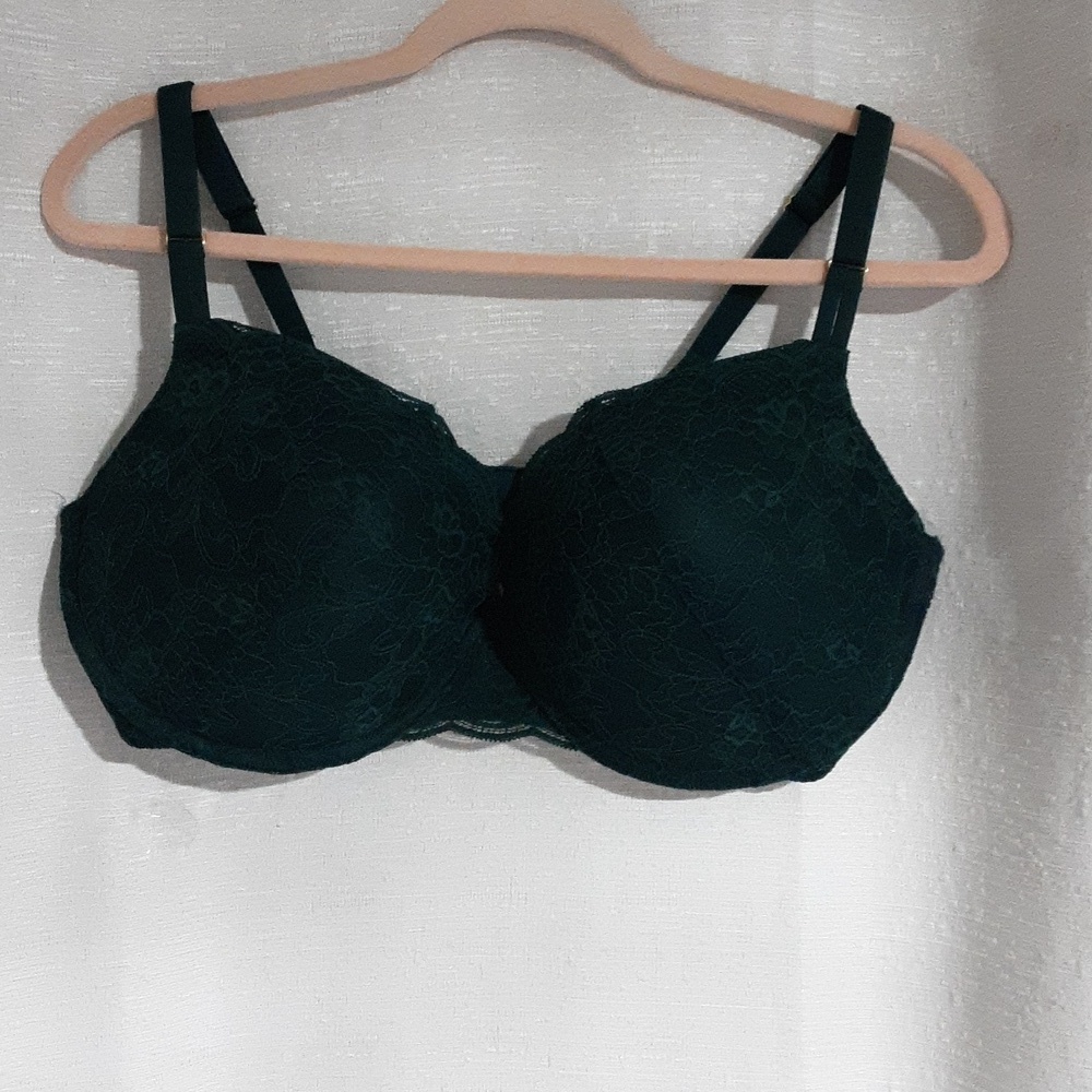 JOYSPUN Bra 40D Elegant Lace Women's Bra - Green Push-up